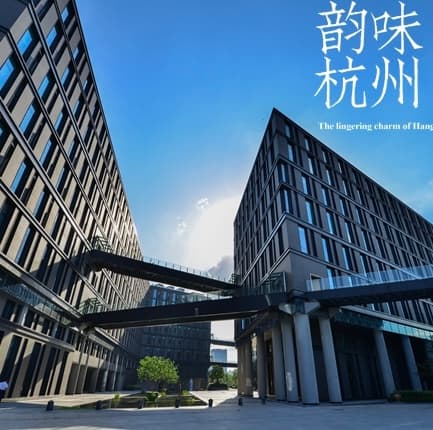 NetEase visual